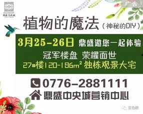 百色今日爆料信息最新查询,揭秘今日热点事件！”